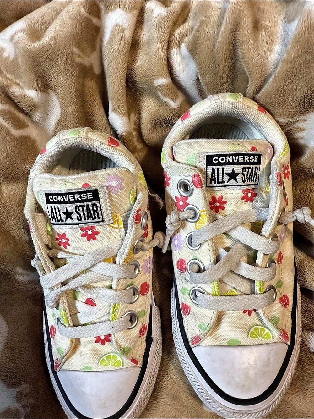 Converse Chuck Taylor All Star Fruits and Flowers High Top Floral Sneakers Cream